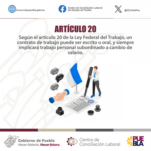 Artículo 20