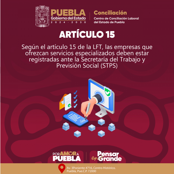 Art 15