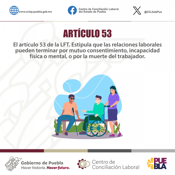 ARTÍCULO 53