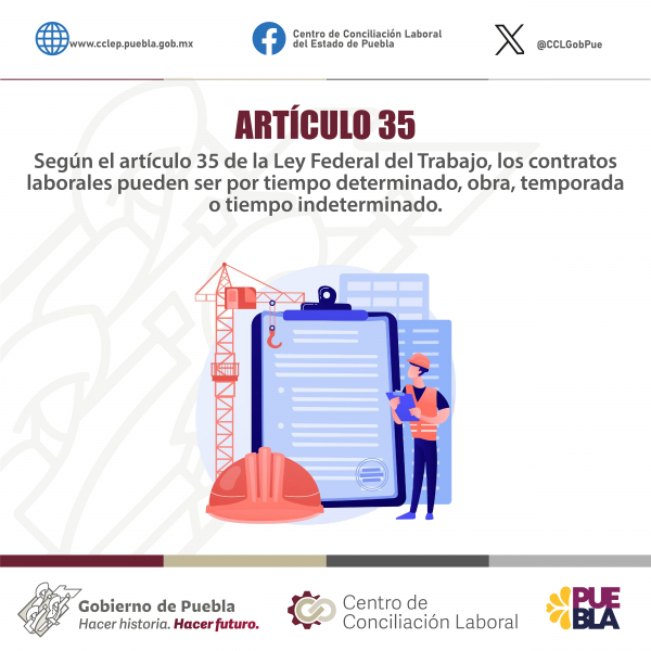 Artículo 35